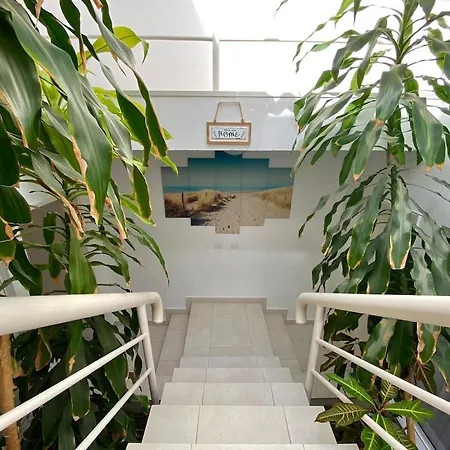 公寓 Casa Del Arbol